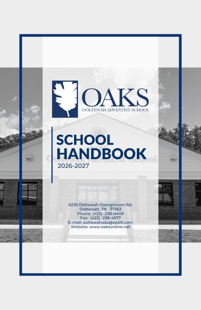 Grey & Blue Professional Employe Handbook Booklet